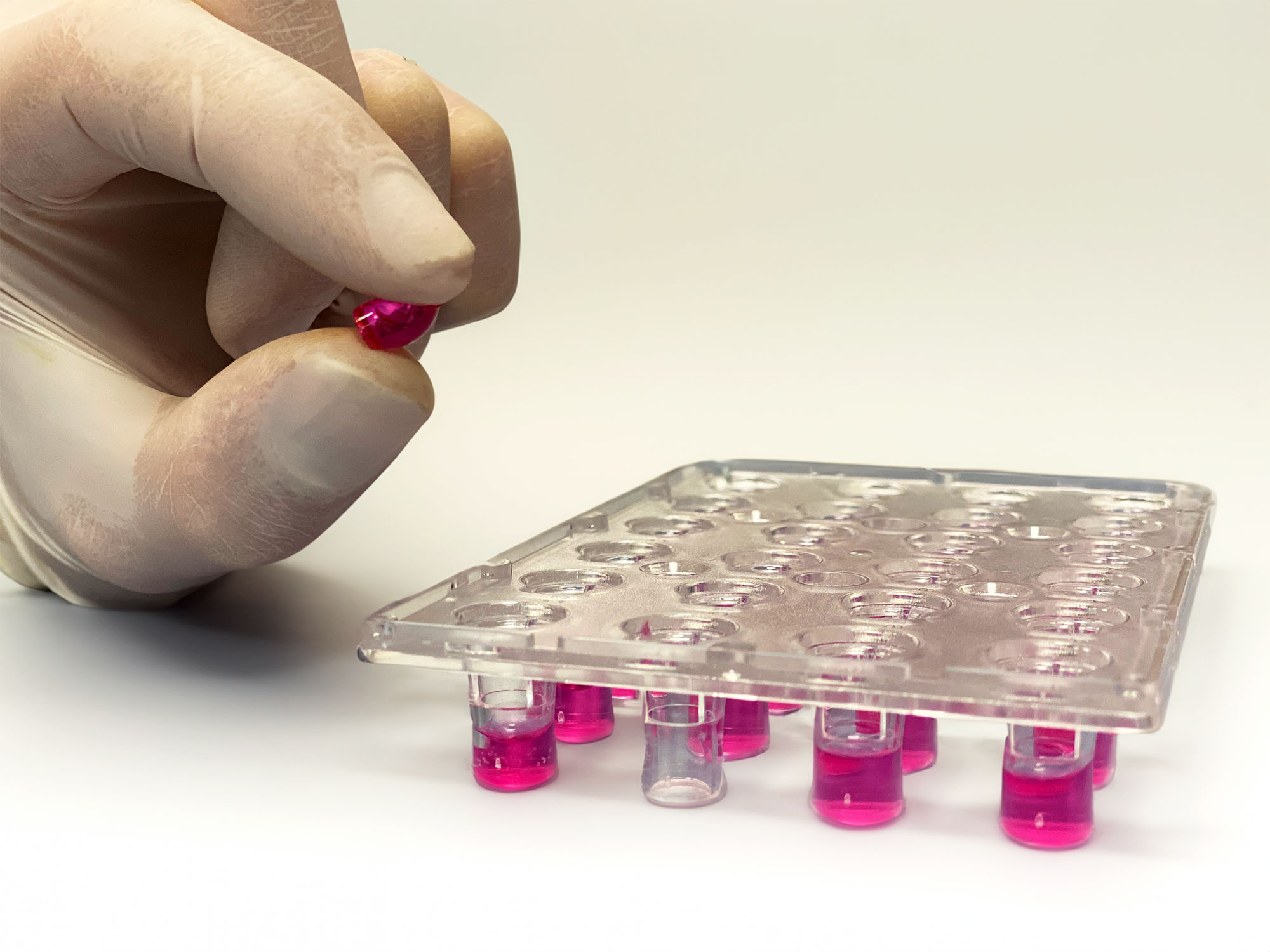 Shipping-medium-Transwell-ReadyCell-MedTech-Barcelona