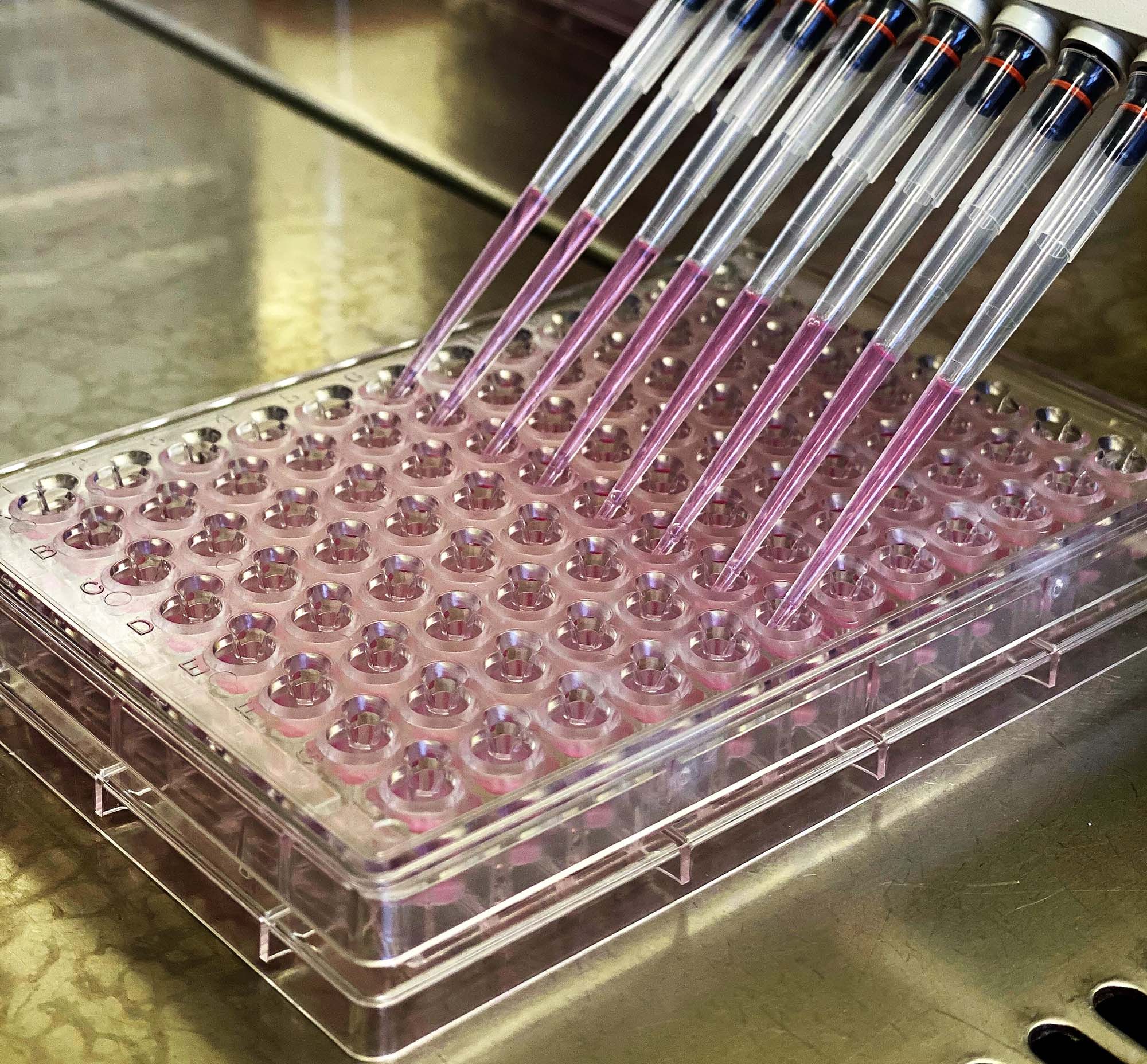 ReadyCell-DM-Image-96tplate