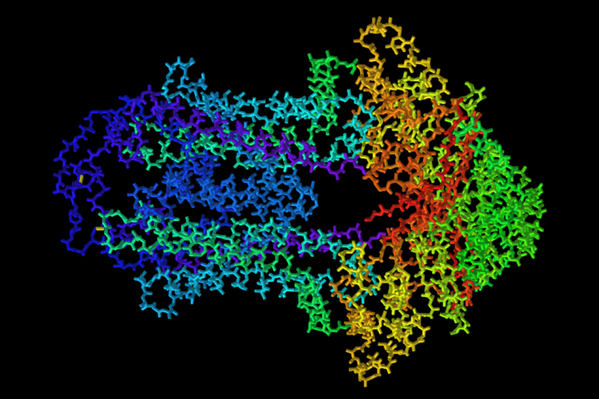 ABC Protein 3D