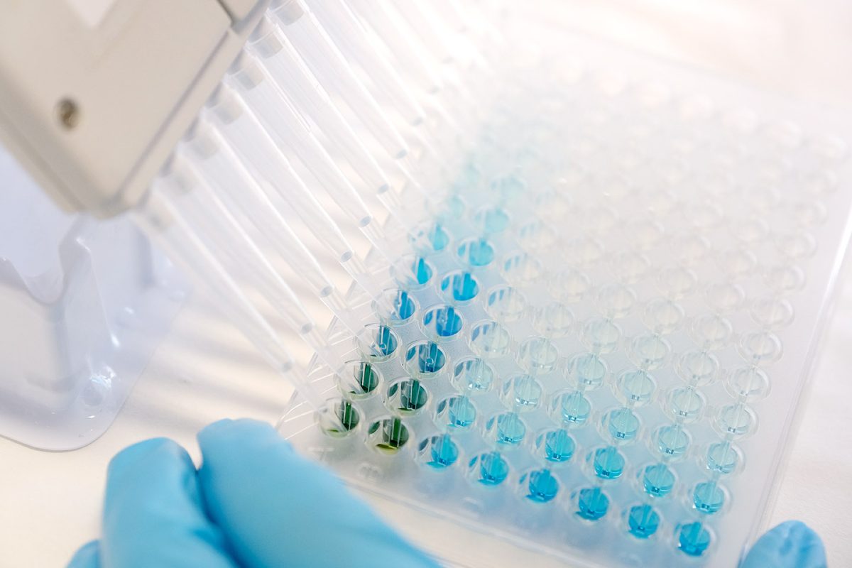 Cytotoxicity Assay Protocol