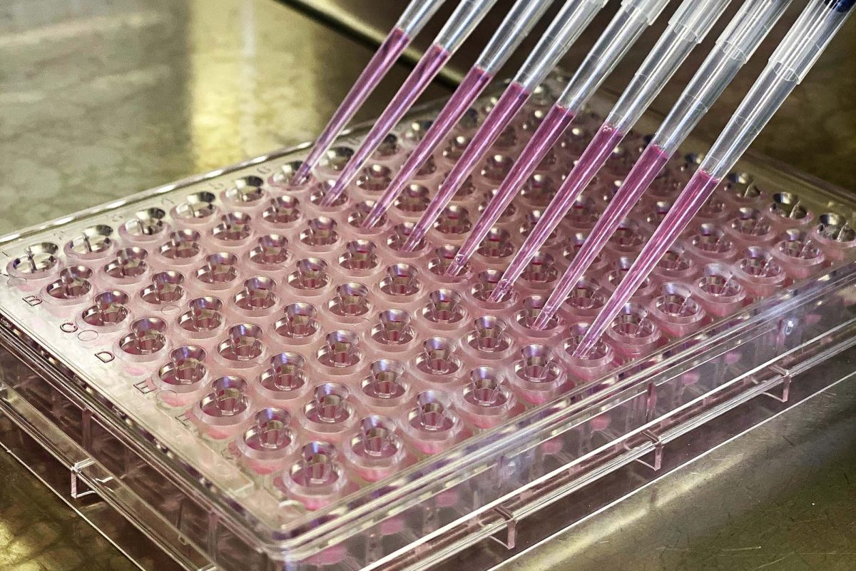 ReadyCell-DM-Image-96tplate