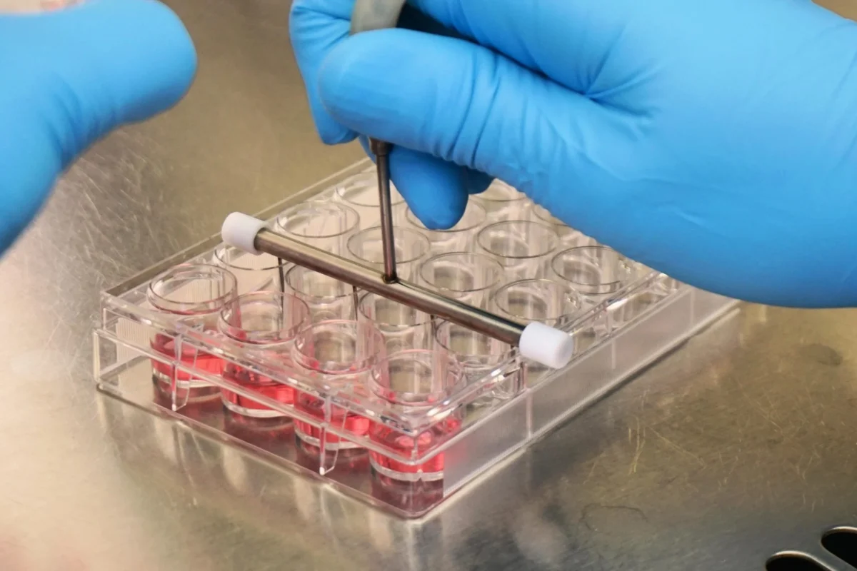 ReadyCell-MedTech-Barcelona-FDA-recommended-reference-compounds-for-permeability-assays-scaled