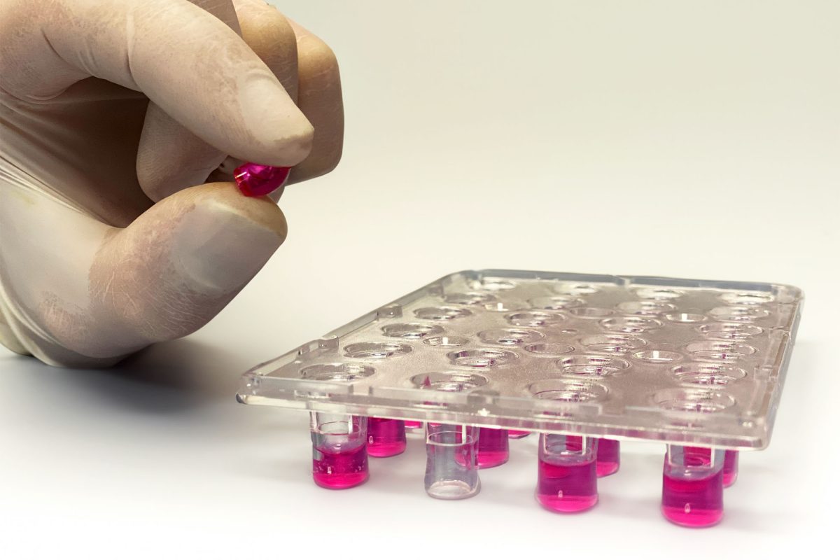 Shipping-medium-Transwell-ReadyCell-MedTech-Barcelona