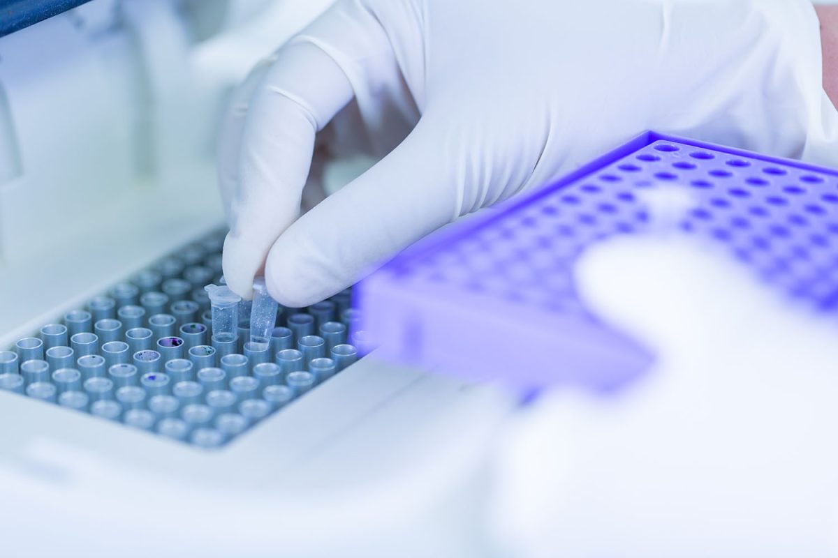 img-lab2.jpg