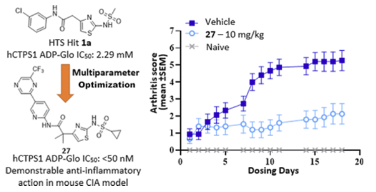 Experimental results of the selected compound in vivo using a mouse CIA model. J. Med. Chem. 2022, 65, 24, 16640–16650