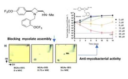 J. Med. Chem. 2024, DMPK and toxicology profiles confirm that the azetidine derivatives identified display relevant and acceptable profiles for translation.