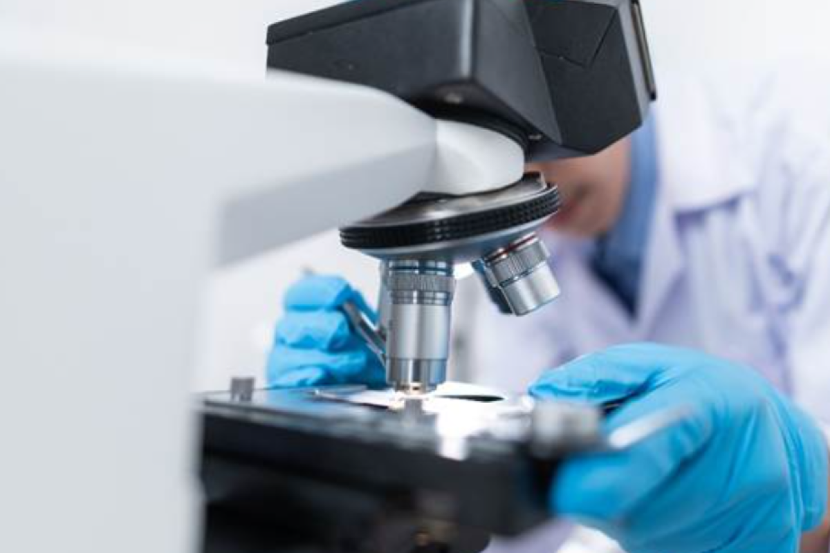 About the ICH M12 guideline for the regulation of drug interaction studies