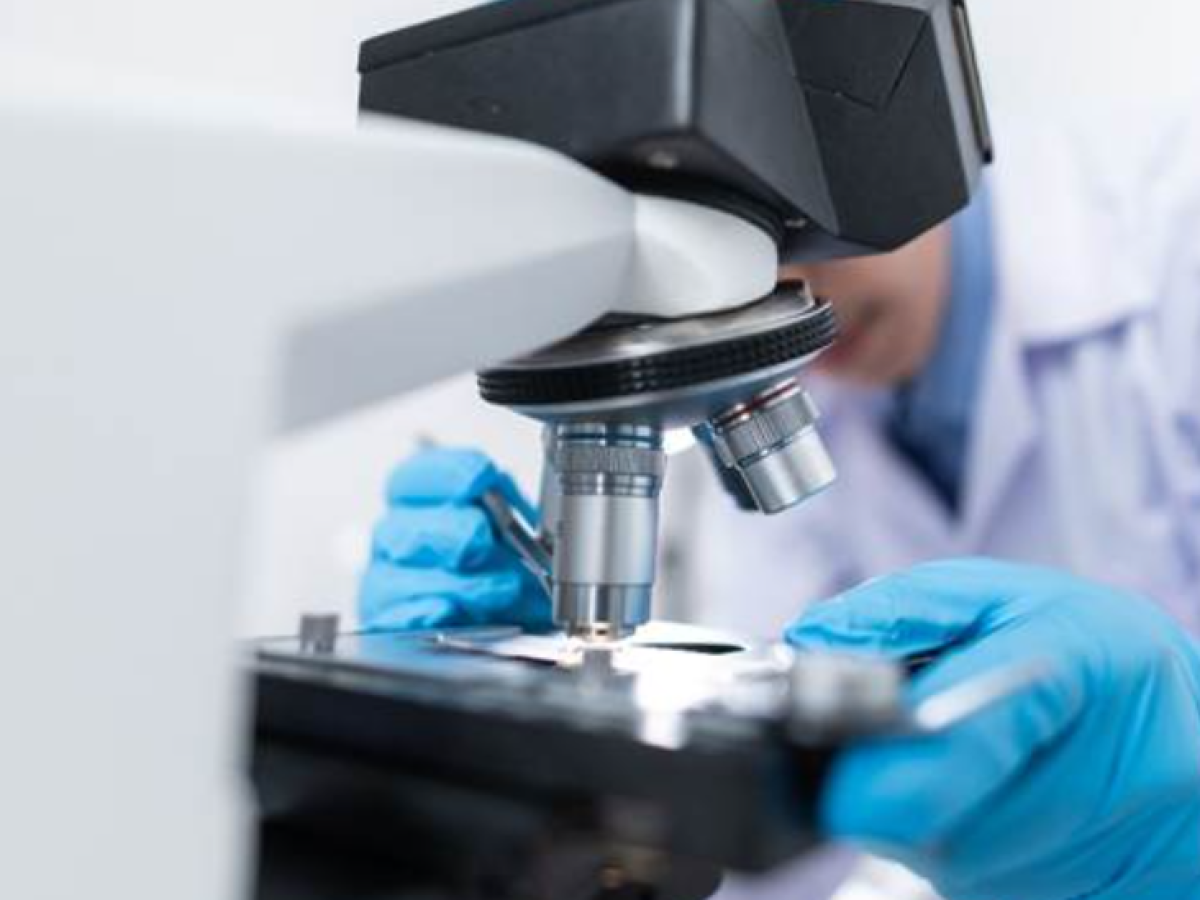 About the ICH M12 guideline for the regulation of drug interaction studies