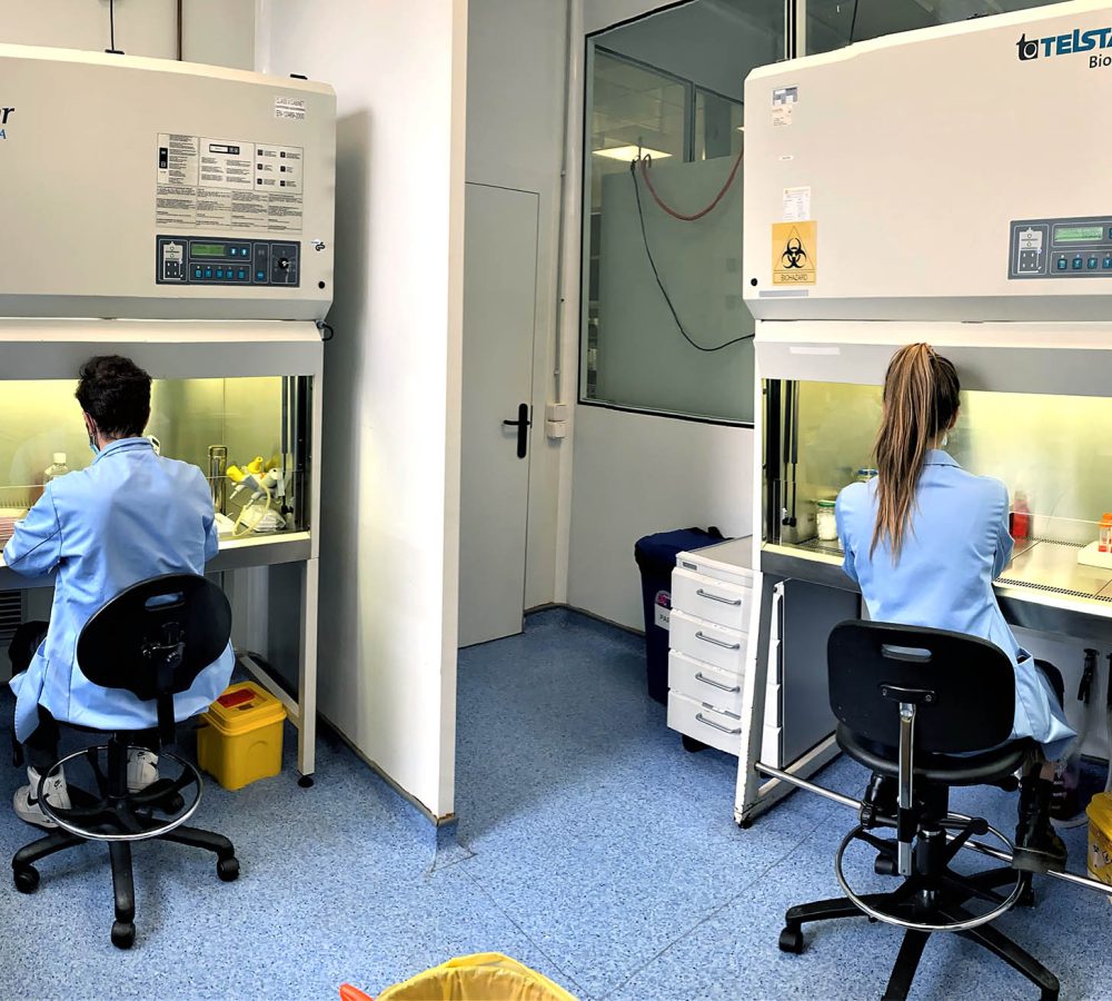 ReadyCell-DM-Image-Research-and-development-2